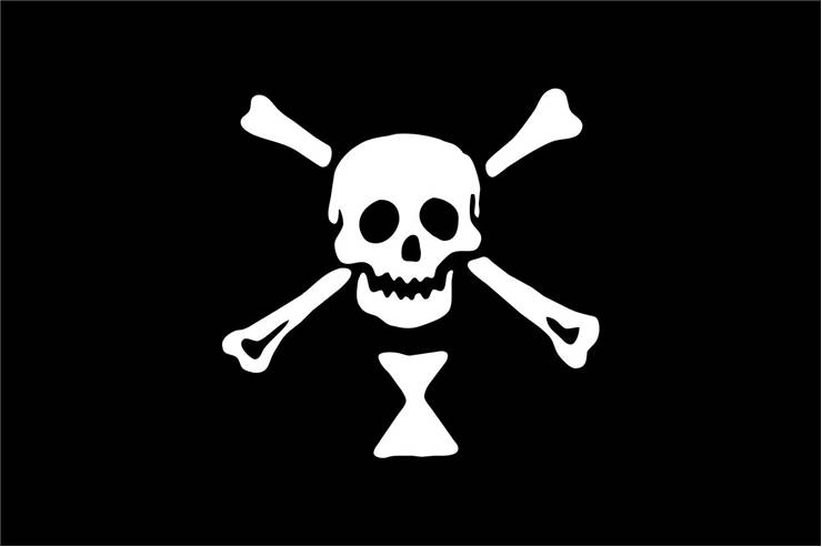 Picture Of Flag Of Pirate Emanuel Wynne
