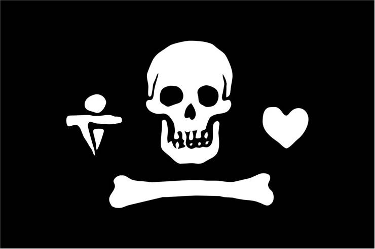 Picture Of Flag Of Pirate Stede Bonnet