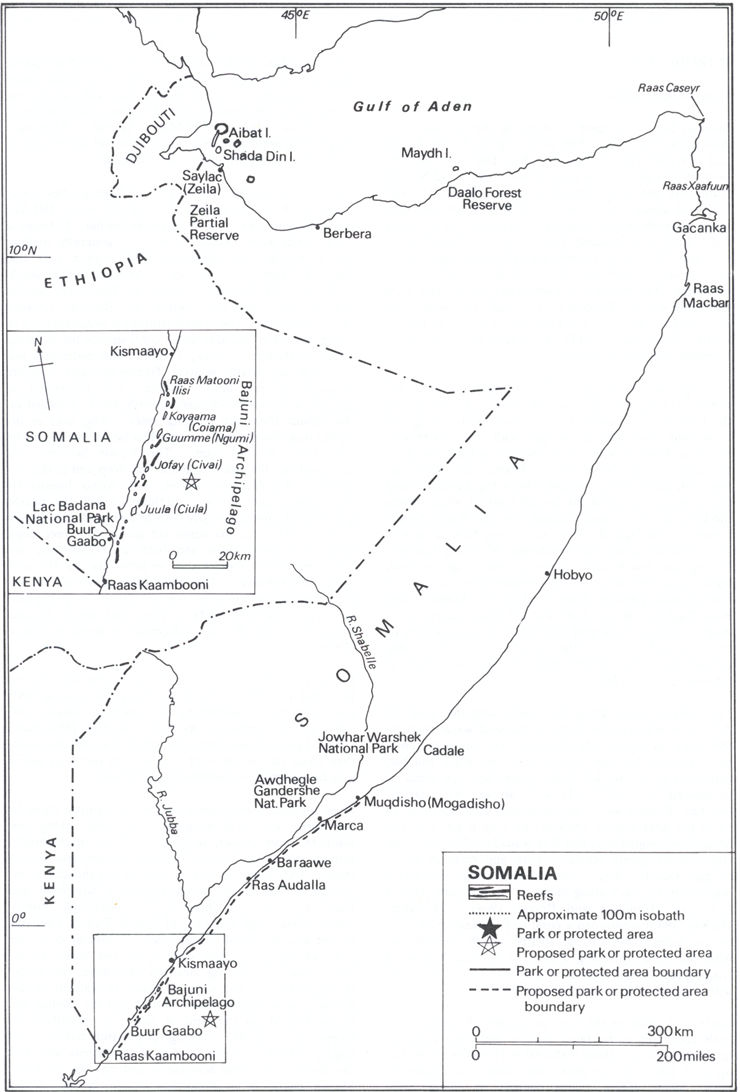 Picture Of Somalias Coral Reefs
